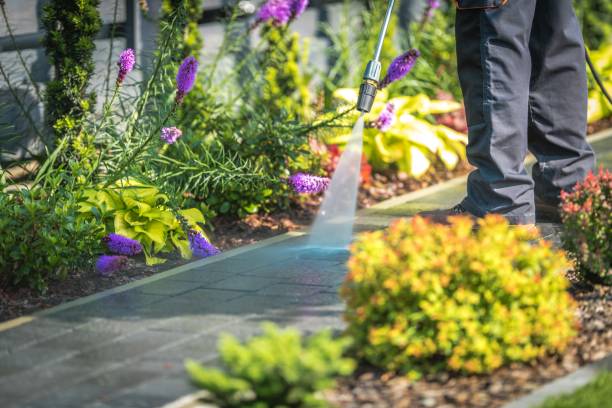 Best Pool Deck Cleaning in Buchanan, VA