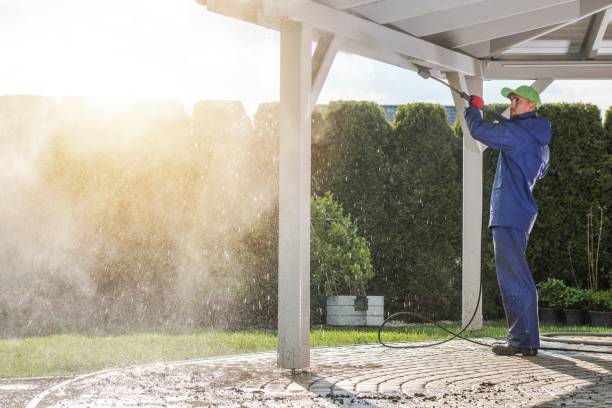 Best Window and Screen Pressure Cleaning in Buchanan, VA