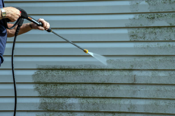 Best Roof Cleaning and Mildew Removal in Buchanan, VA