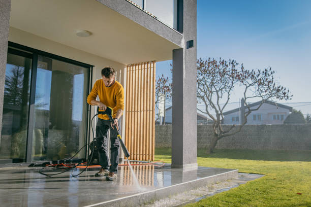 Best Brick and Stone Cleaning in Buchanan, VA